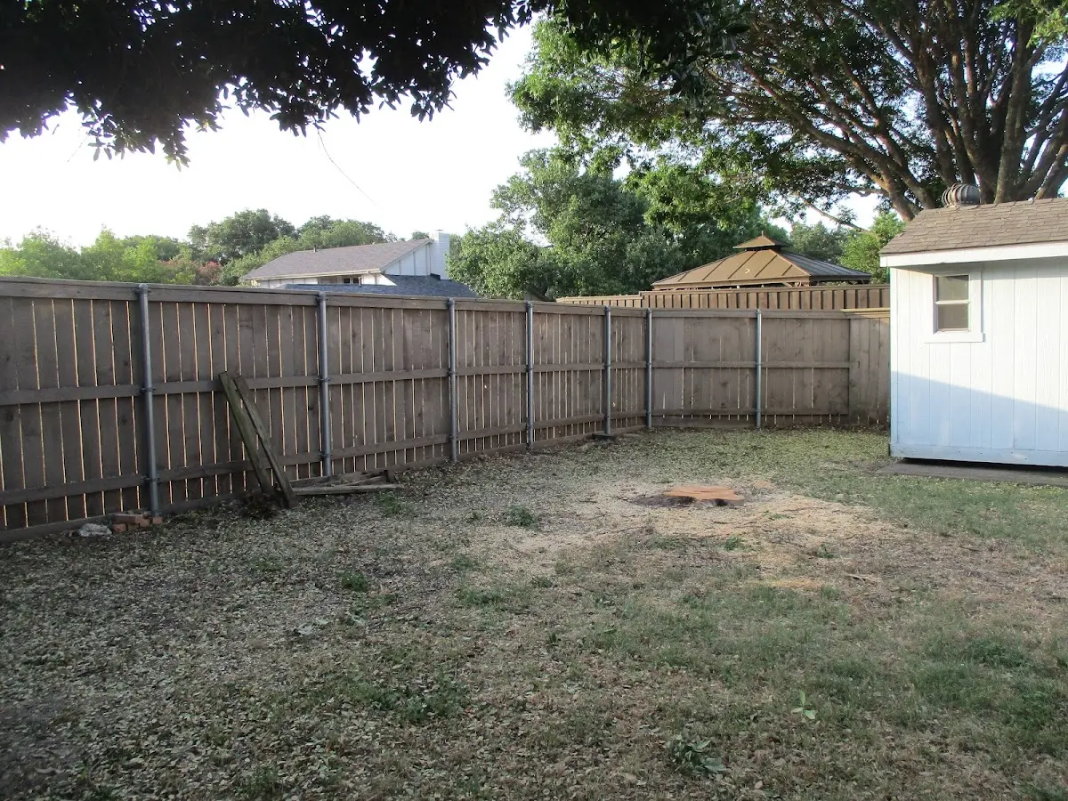 Cleared yard after professional tree removal in Joliet